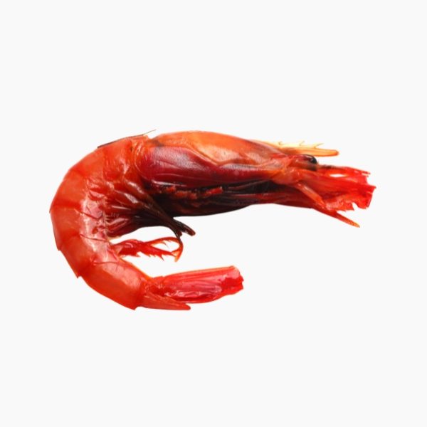 Gamba roja