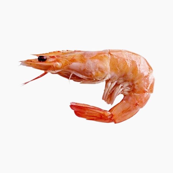 Langostino